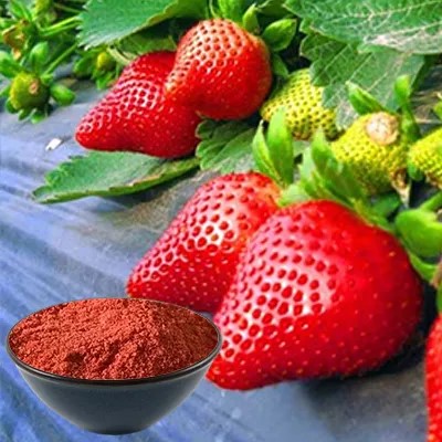 Los beneficios para la salud del polvo de fresa