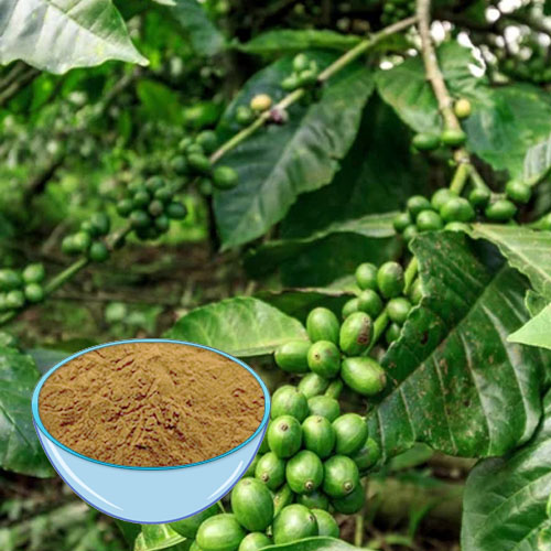 Extracto de granos de café verde 