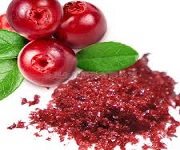 Beneficios de Cranberry Powder para nosotros