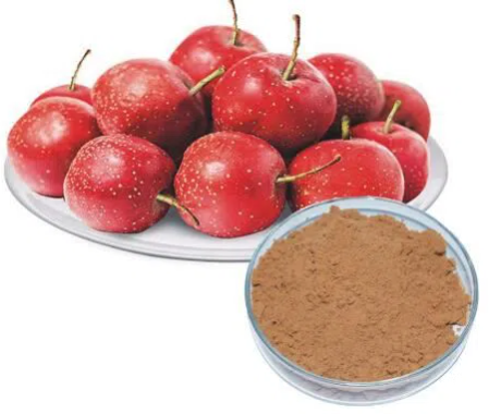 Hawthorn Berry Extract.png