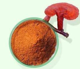 ¿Qué es el extracto de hongos Reishi?